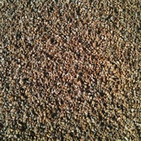 Decorative Stone - Honey